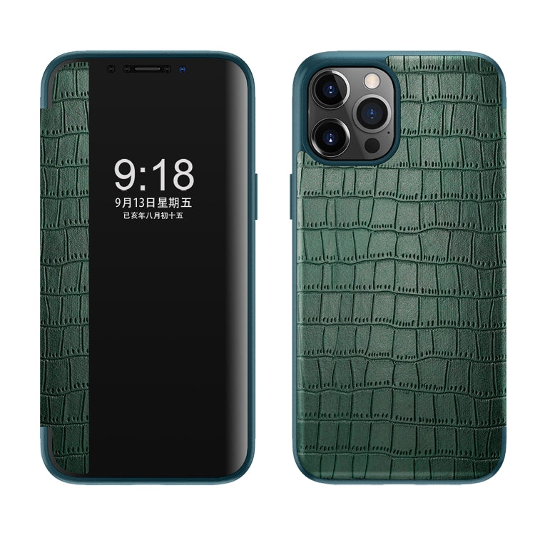 For iPhone 12 / 12 Pro Crocodile Texture Display Window Horizontal Flip Leather Case(Green)