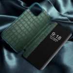 For iPhone 12 / 12 Pro Crocodile Texture Display Window Horizontal Flip Leather Case(Green)