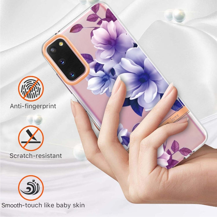 For Samsung Galaxy S20 Flowers and Plants Series IMD TPU Phone Case(Purple Begonia)