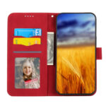 For Xiaomi 13 Dierfeng Dream Line TPU + PU Leather Phone Case(Red)