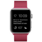 For Apple Watch Series 7 45mm / 6 & SE & 5 & 4 44mm / 3 & 2 & 1 42mm Milanese Loop Magnetic Stainless Steel Watch Band(Tea Red)