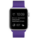 For Apple Watch Ultra 49mm / Series 8&7 45mm / SE 2&6&SE&5&4 44mm / 3&2&1 42mm Milanese Loop Magnetic Stainless Steel Watch Band(Bright Purple)