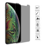 For iPhone 11 Pro Max / XS Max 9H 3D Privacy Anti-glare Non-full Screen Tempered Glass Screen Protector