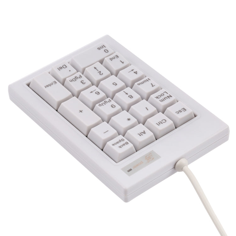 DX-21A 21-keys USB Wired Mechanical Black Shaft Mini Numeric Keyboard(White)