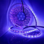 3528 SMD UV Purple Light Strip Epoxy LED Lamp Decorative Light Strip, Style:Waterproof 5m(EU Plug)