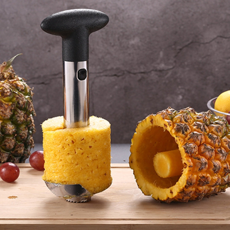 Stainless Steel Pineapple Peeler Slicers Fruit Cutter Kitchen Tools(Black handle)