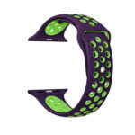 For Apple Watch Series 7 41mm / 6 & SE & 5 & 4 40mm / 3 & 2 & 1 38mm Fashionable Classical Silicone Sport Watch Band(Purple Green)