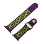 For Apple Watch Series 7 41mm / 6 & SE & 5 & 4 40mm / 3 & 2 & 1 38mm Fashionable Classical Silicone Sport Watch Band(Purple Green)